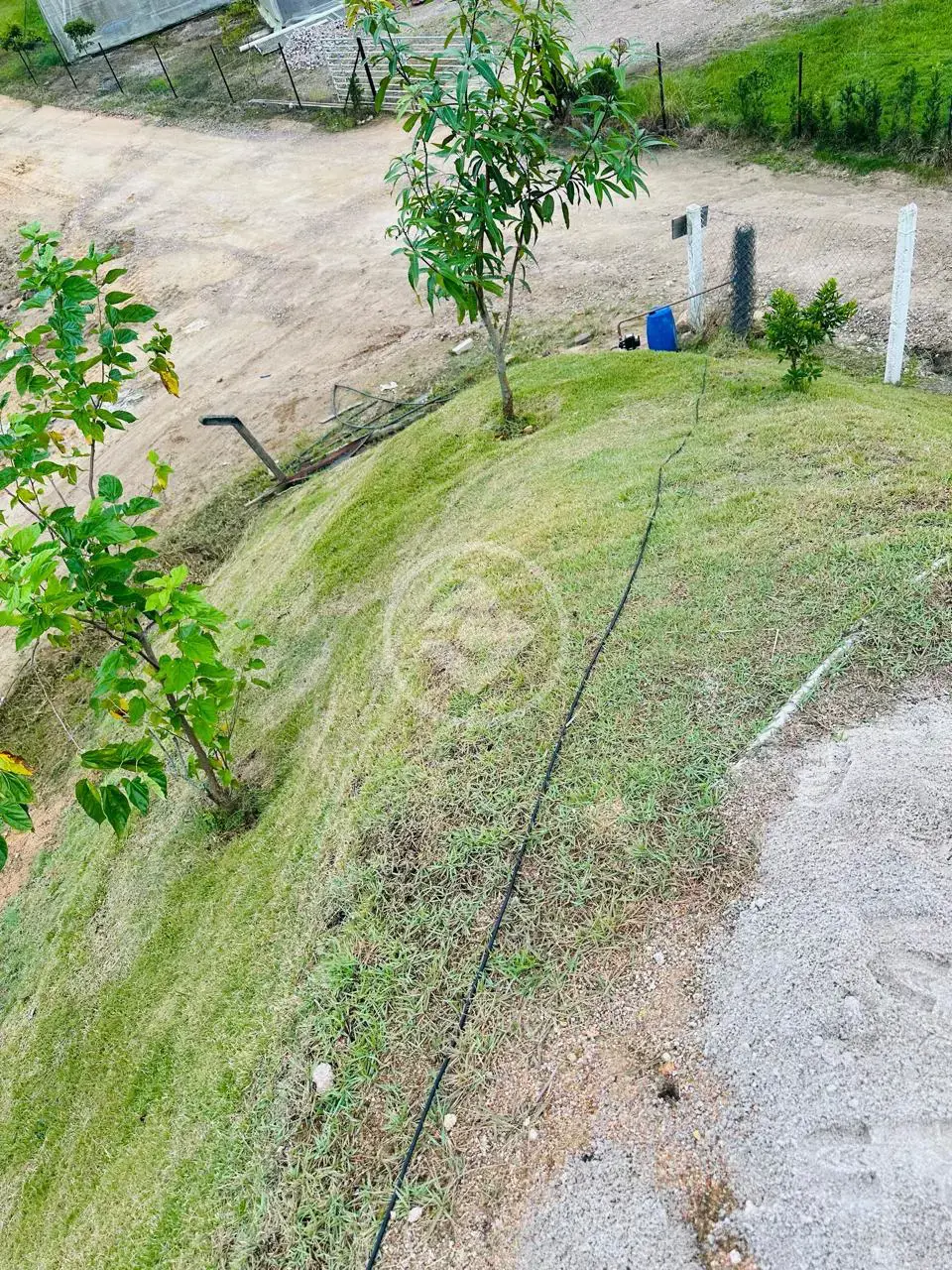 Imagem 6 - Chácara em AREA RURAL, Tijucas - SC