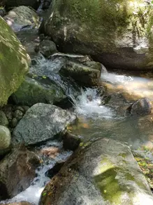 Imagem 6 - Sítio em CASA DA PEDRA, Canelinha - SC