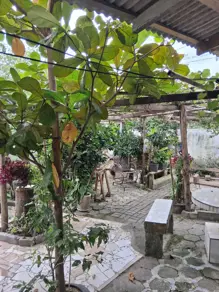 Casa Tabuleiro dos Oliveiras, Itapema - SC — foto 1