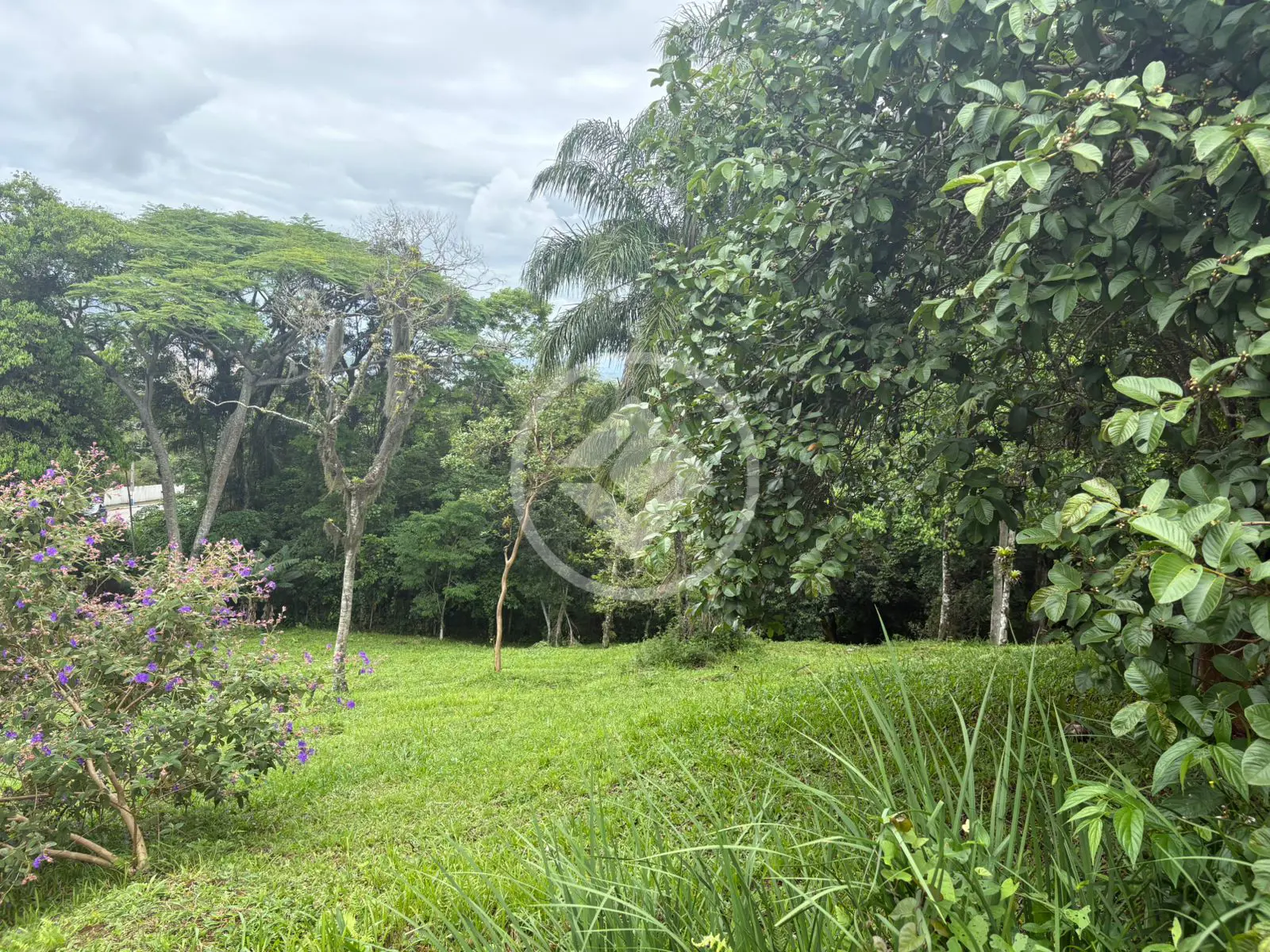 Imagem 1 - Terreno em Meia Praia, Itapema - SC