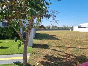 Terreno Condomínio Terras Alpha Residencial 1, Senador Canedo - GO — foto 2
