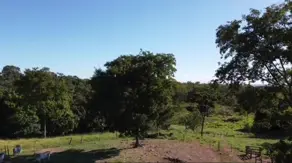Fazenda Centro, Pontalina - GO — foto 2