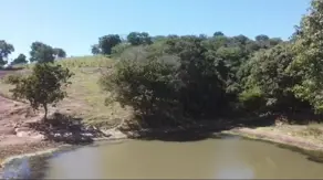 Imagem 2 - Fazenda em Centro, Pontalina - GO