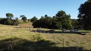 Imagem 3 - Fazenda em Centro, Pontalina - GO