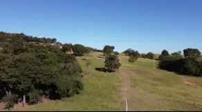 Fazenda Centro, Pontalina - GO — foto 1