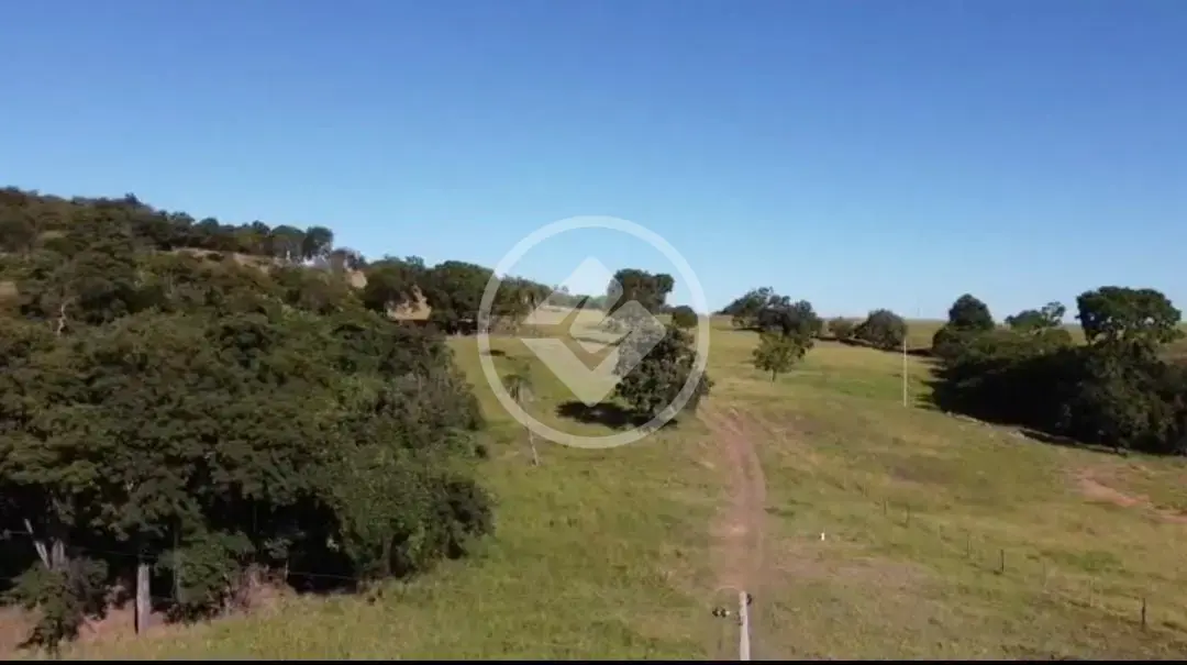 Imagem 1 - Fazenda em Centro, Pontalina - GO