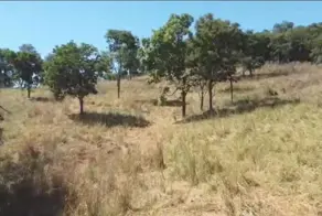 Imagem 6 - Fazenda em Centro, Pontalina - GO