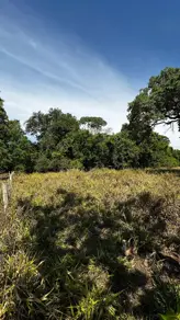 Imagem 4 - Chácara em Zona Rural, Bela Vista de Goiás - GO
