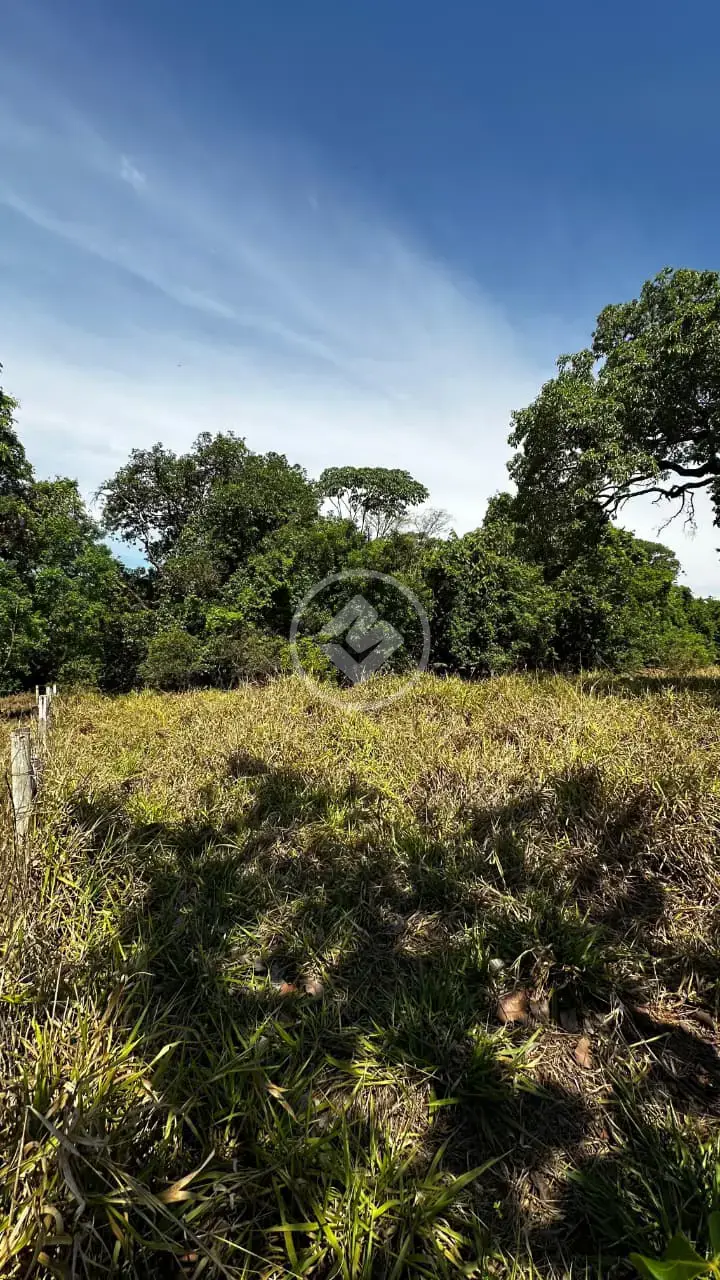 Imagem 4 - Chácara em Zona Rural, Bela Vista de Goiás - GO