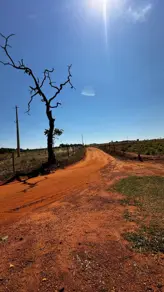 Chácara Zona Rural, Bela Vista de Goiás - GO — foto 2