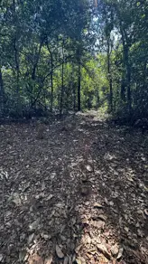 Imagem 5 - Chácara em Zona Rural, Bela Vista de Goiás - GO