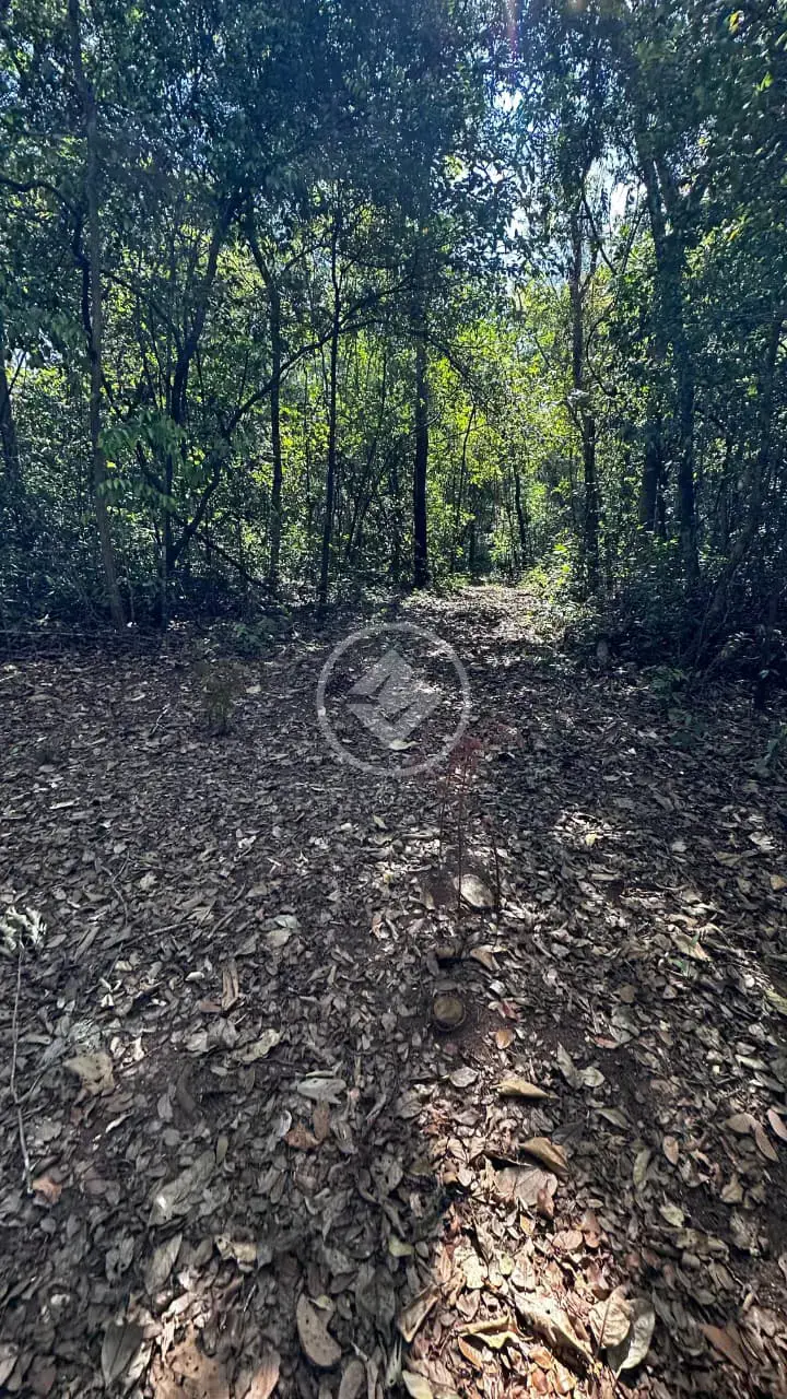 Imagem 5 - Chácara em Zona Rural, Bela Vista de Goiás - GO
