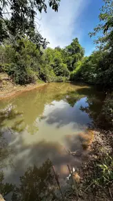 Chácara Zona Rural, Bela Vista de Goiás - GO — foto 1