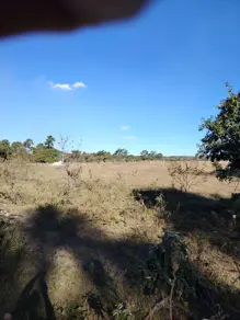 Imagem 4 - Chácara em Centro, Cristalina - GO