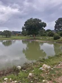 Fazenda Setor Central, São Salvador do Tocantins - TO — foto 1