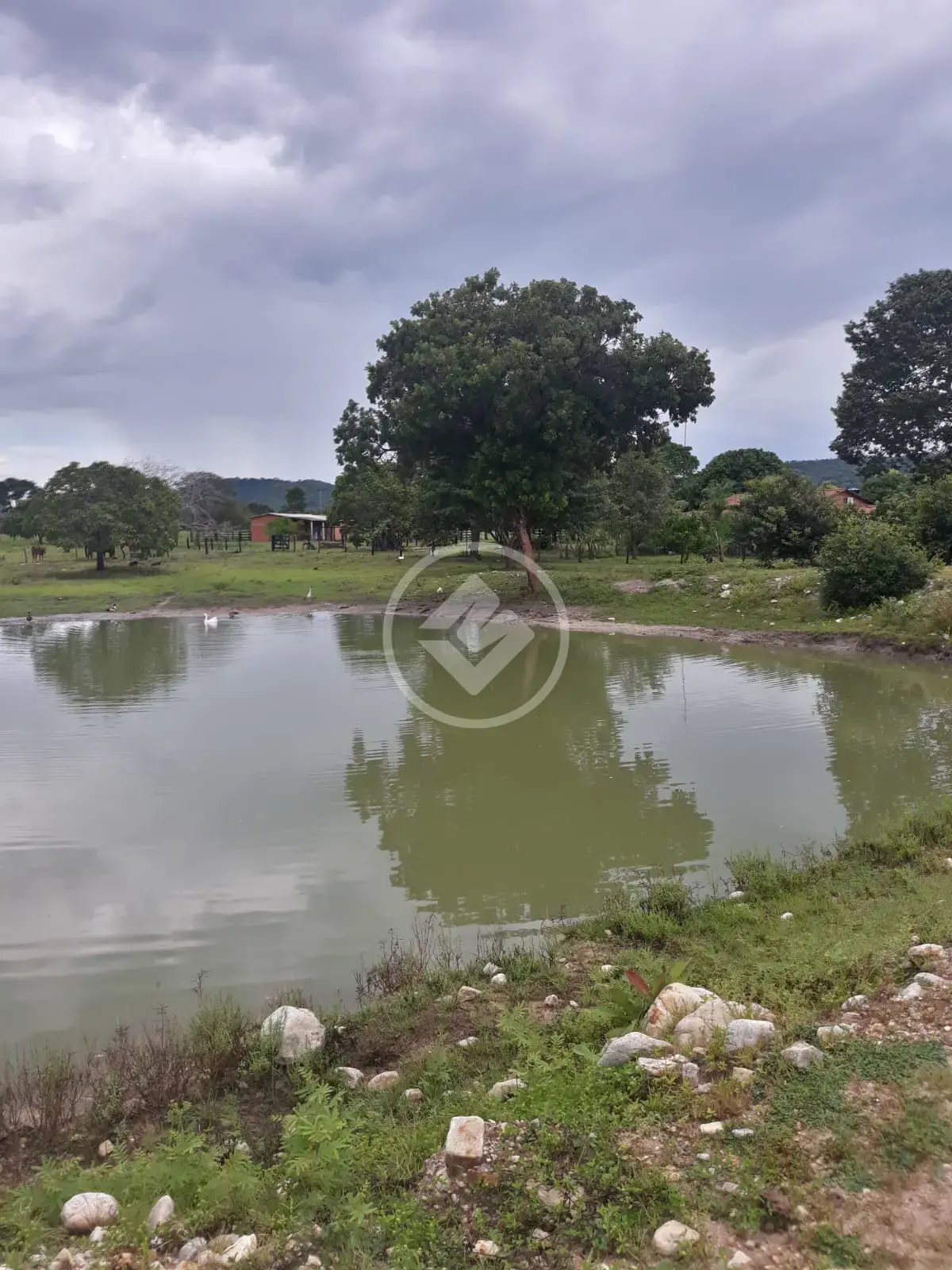 Imagem 1 - Fazenda em Setor Central, São Salvador do Tocantins - TO