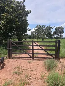 Fazenda Setor Central, São Salvador do Tocantins - TO — foto 2