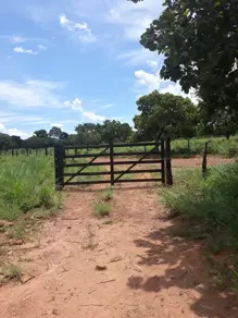 Imagem 2 - Fazenda em Setor Central, São Salvador do Tocantins - TO