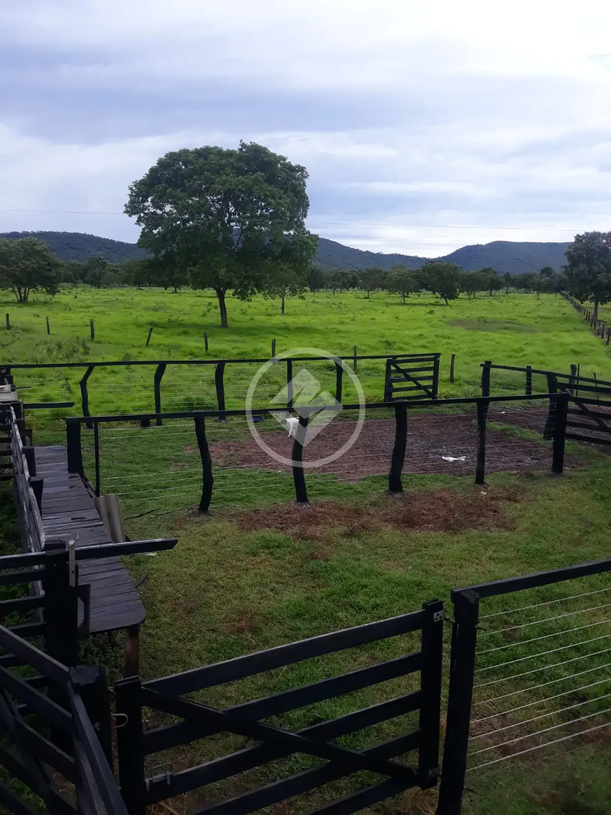 Image 5 - Fazenda em Setor Central, São Salvador do Tocantins - TO