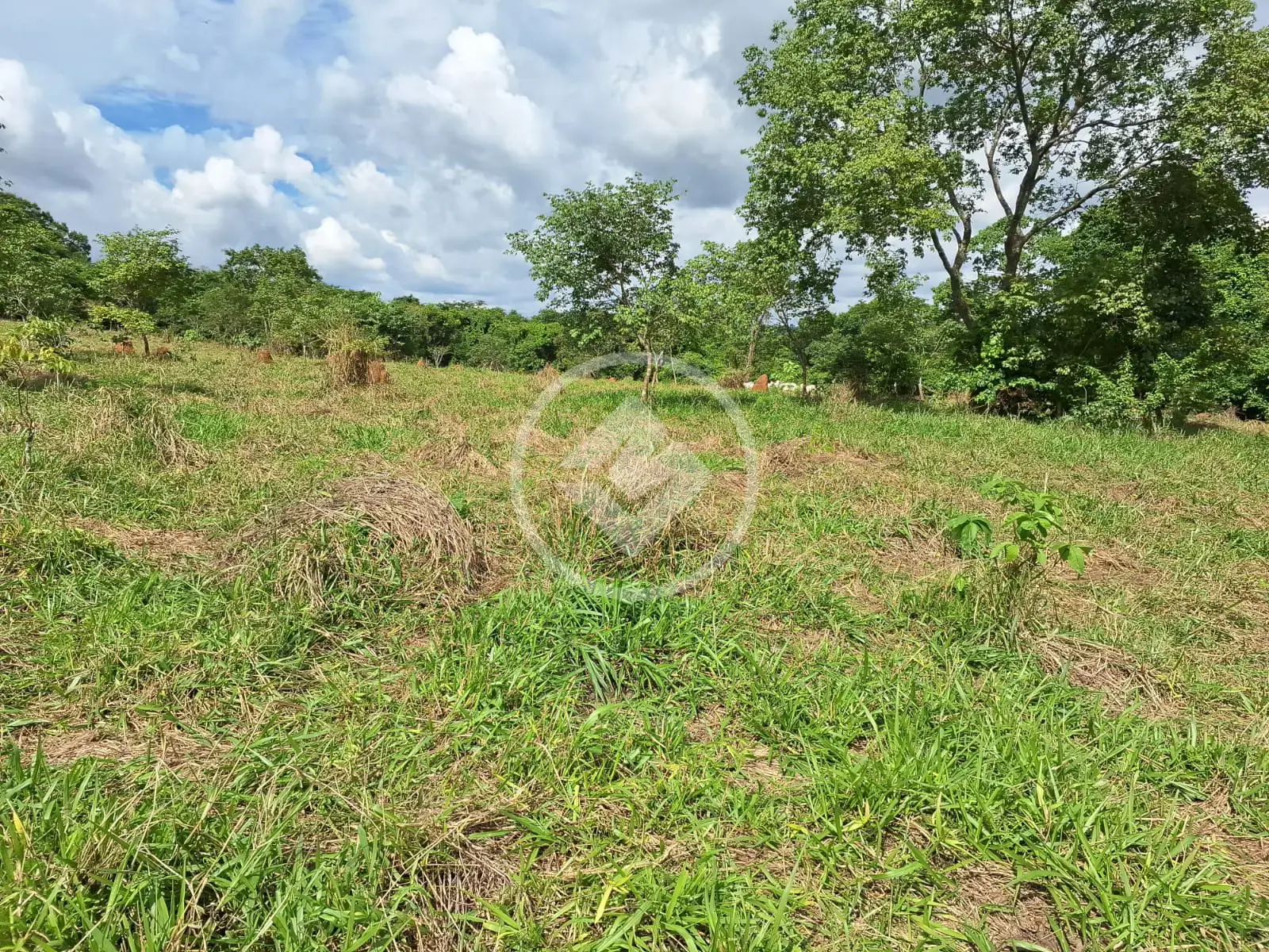 Imagem 2 - Chácara em Centro, Abadia de Goiás - GO