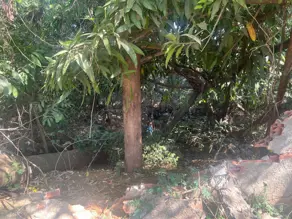 Imagem 3 - Terreno em Jardim Guanabara, Goiânia - GO
