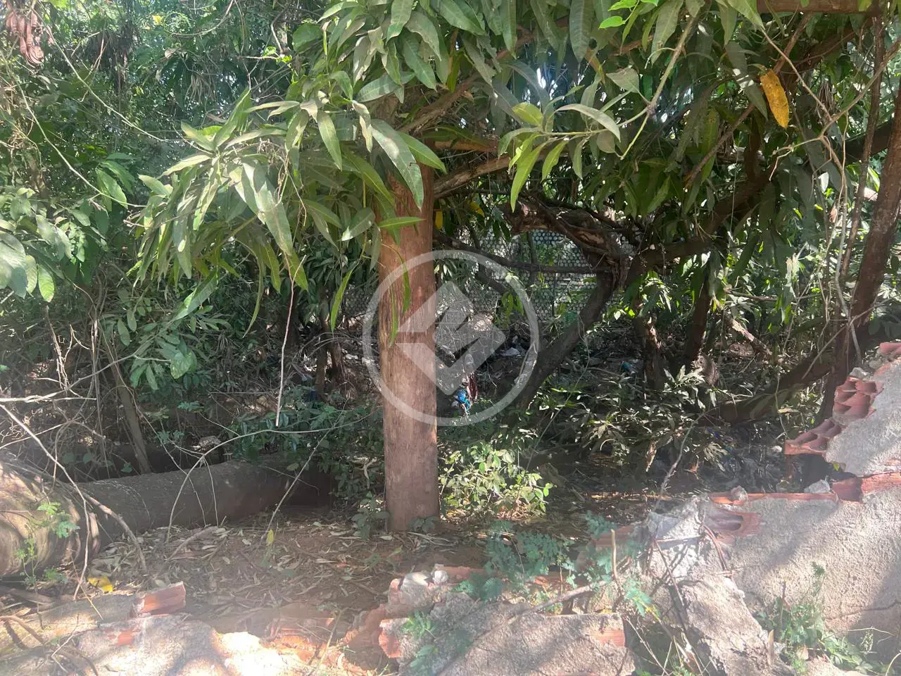 Imagem 3 - Terreno em Jardim Guanabara, Goiânia - GO