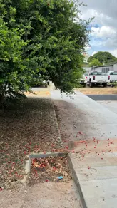 Imagem 5 - Terreno em Jardim Goiás - Área I, Goiânia - GO