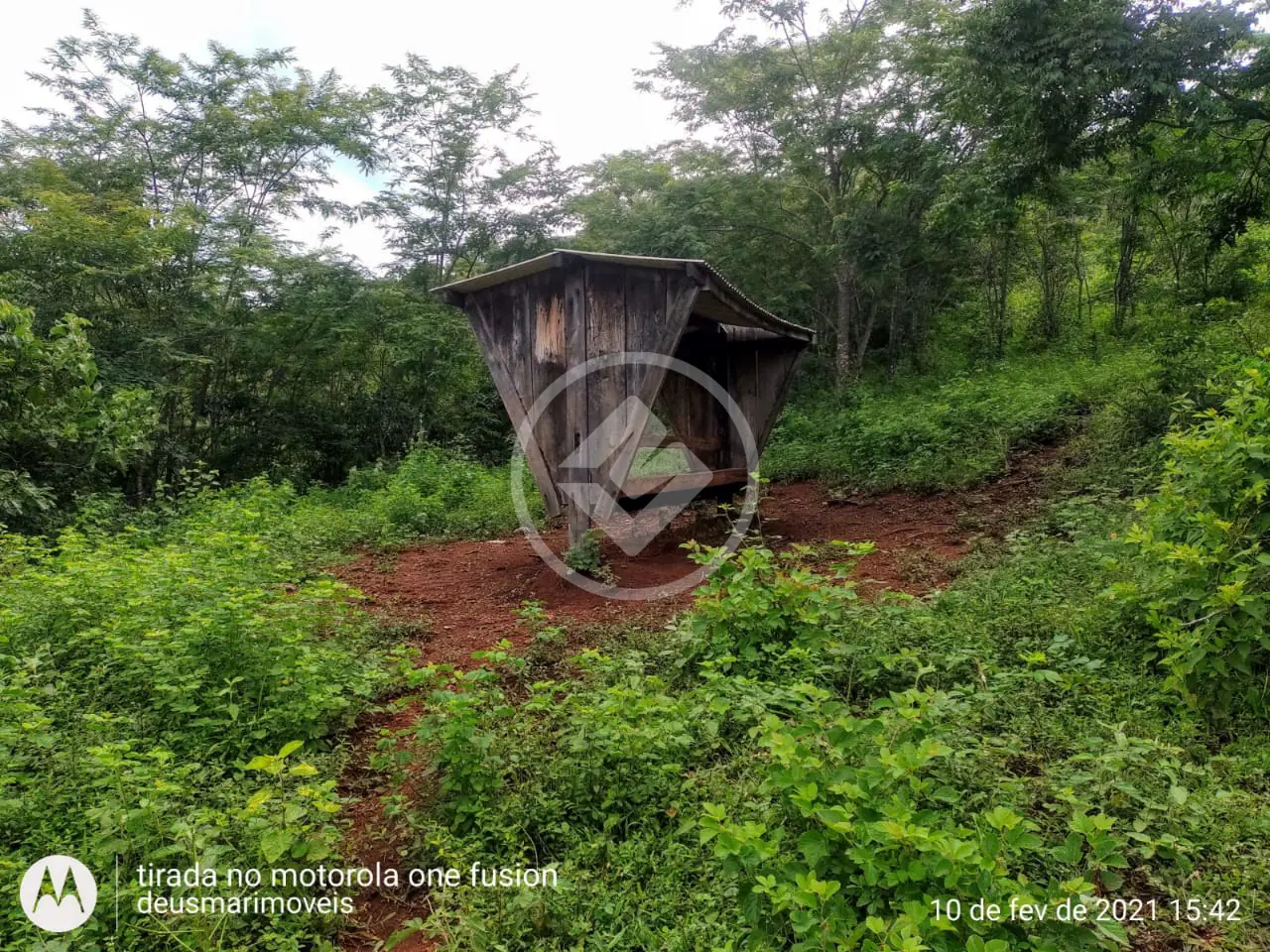 Imagem 4 - Fazenda em Fazenda Três Barras, Barro Alto - GO