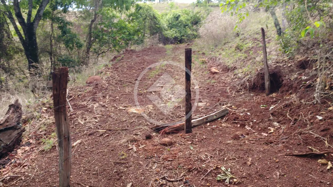 Imagem 6 - Fazenda em Fazenda Três Barras, Barro Alto - GO