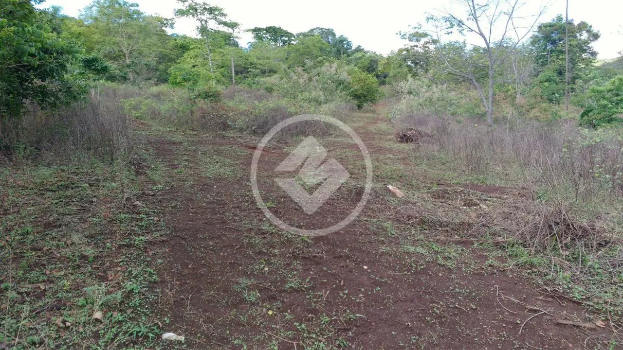 Imagem 5 - Fazenda em Fazenda Três Barras, Barro Alto - GO