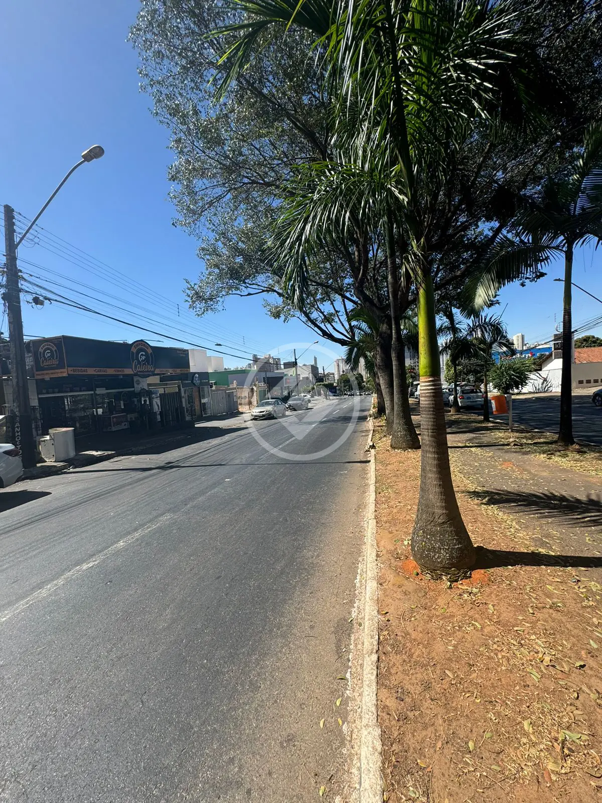 Terreno Setor Pedro Ludovico, Goiânia - GO — foto 1