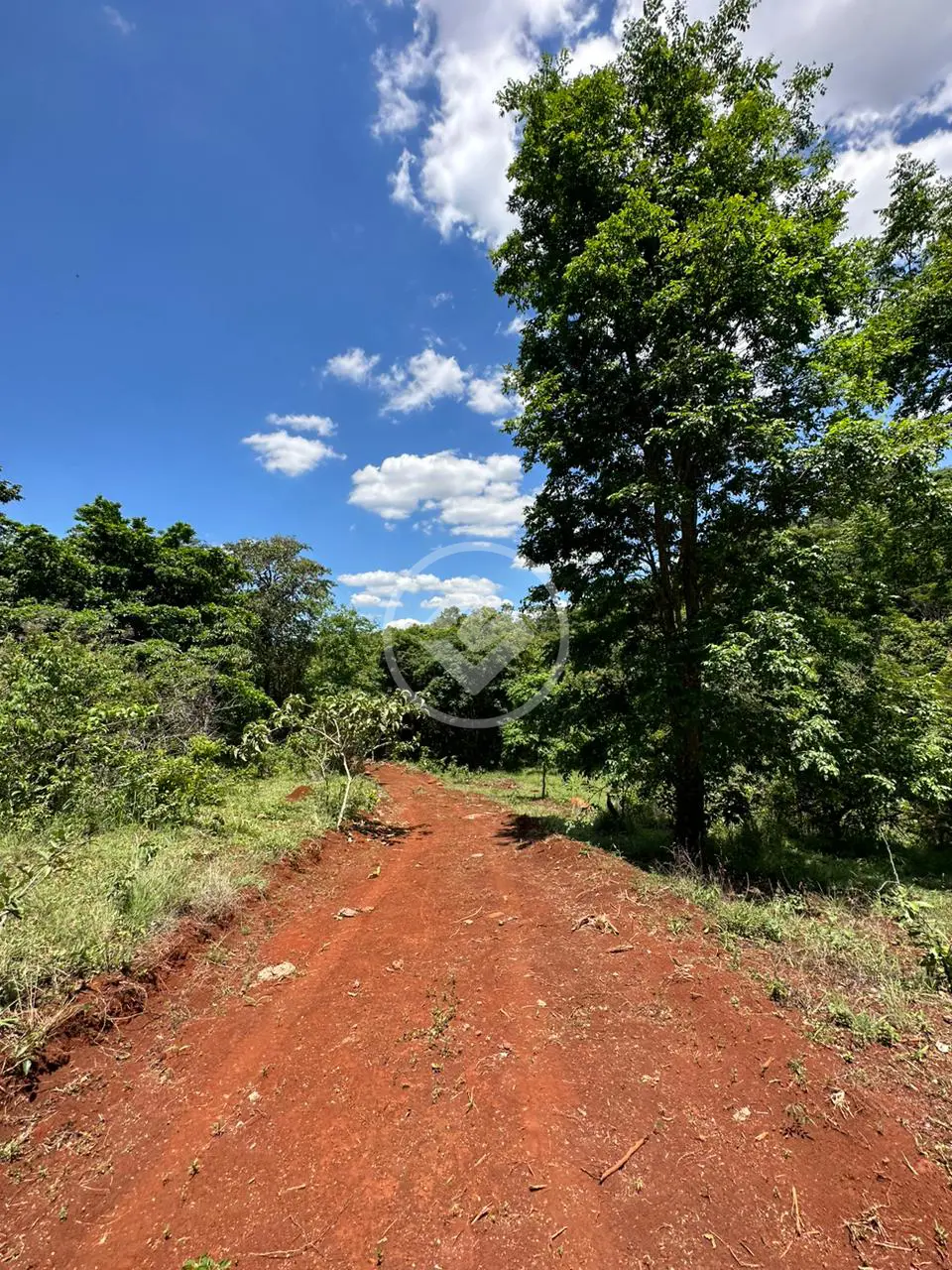 Imagem 1 - Fazenda em Fazenda Três Barras, Barro Alto - GO