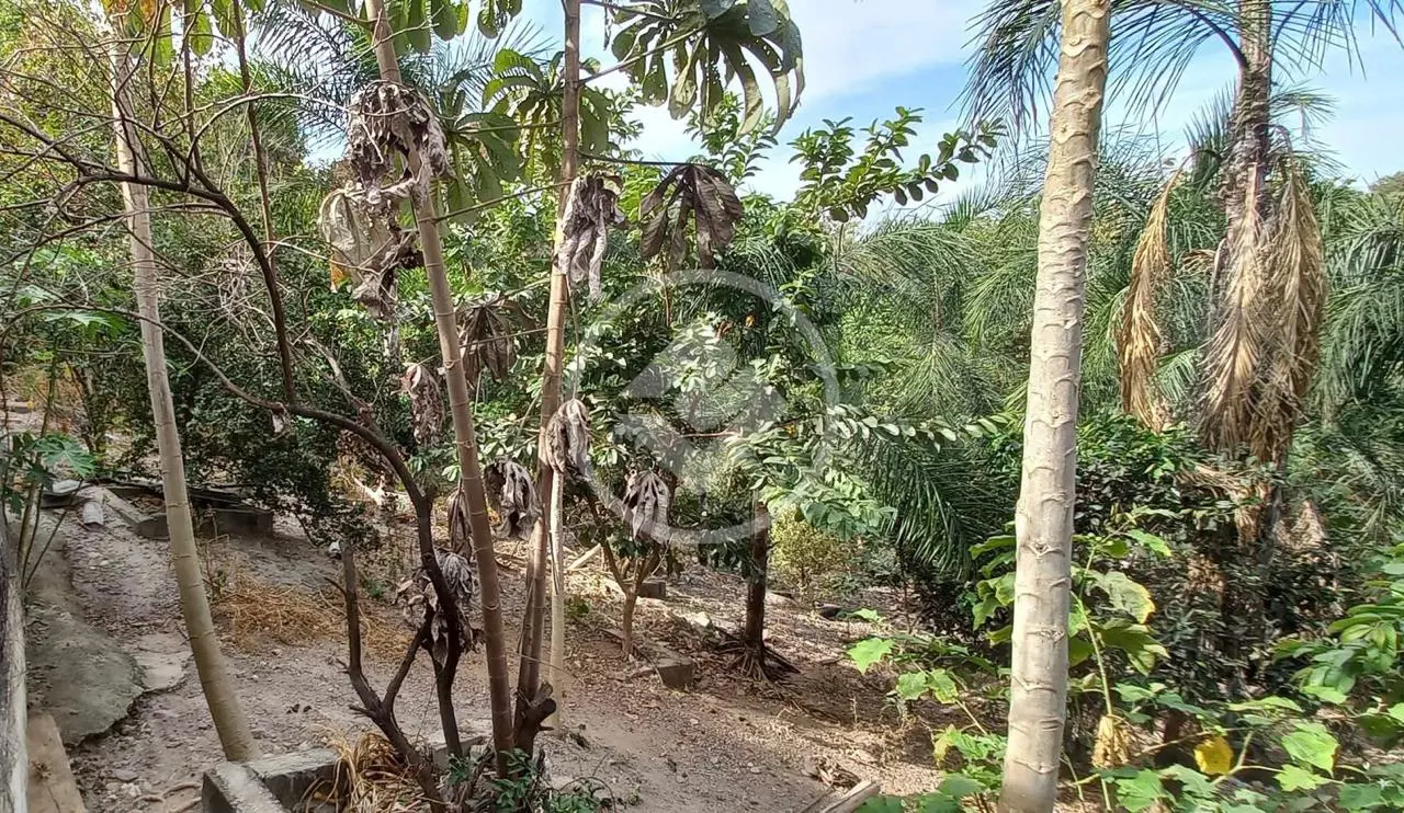 Imagem 5 - Sobrado em Zona Rural, Goiás - GO
