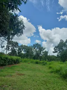 Terreno Zona Rural, Bela Vista de Goiás - GO — foto 1