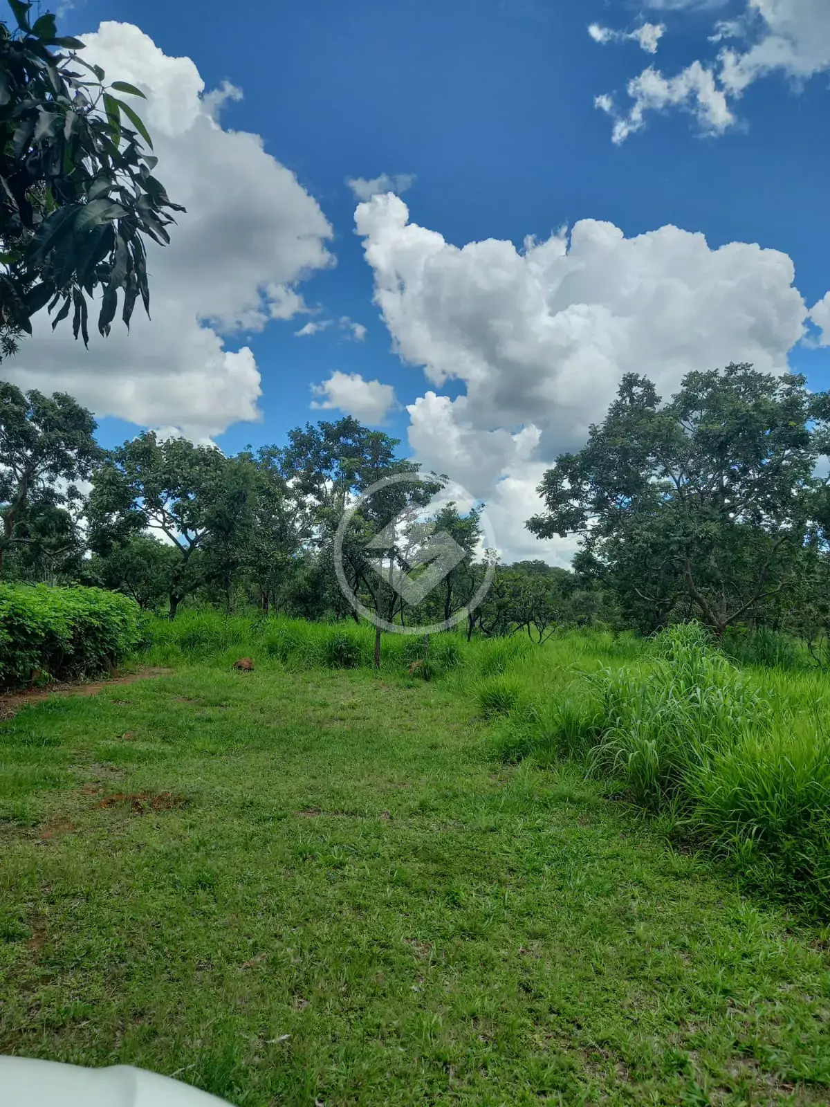 Imagem 3 - Terreno em Zona Rural, Bela Vista de Goiás - GO