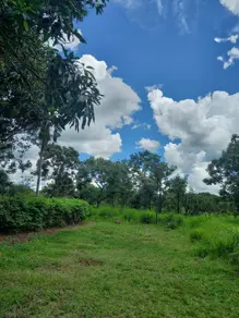 Imagem 4 - Terreno em Zona Rural, Bela Vista de Goiás - GO