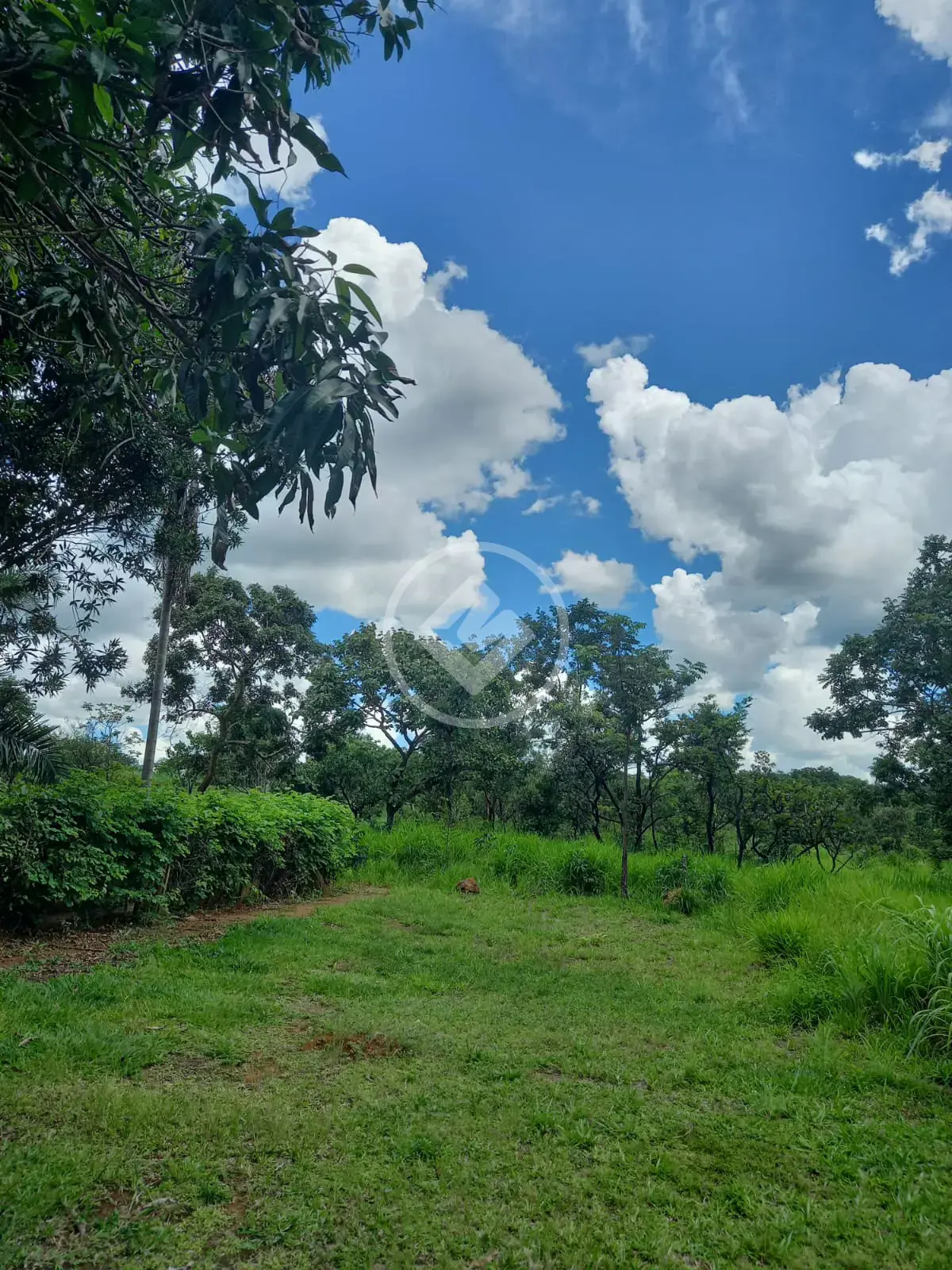 Imagem 4 - Terreno em Zona Rural, Bela Vista de Goiás - GO