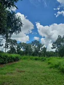 Imagem 5 - Terreno em Zona Rural, Bela Vista de Goiás - GO