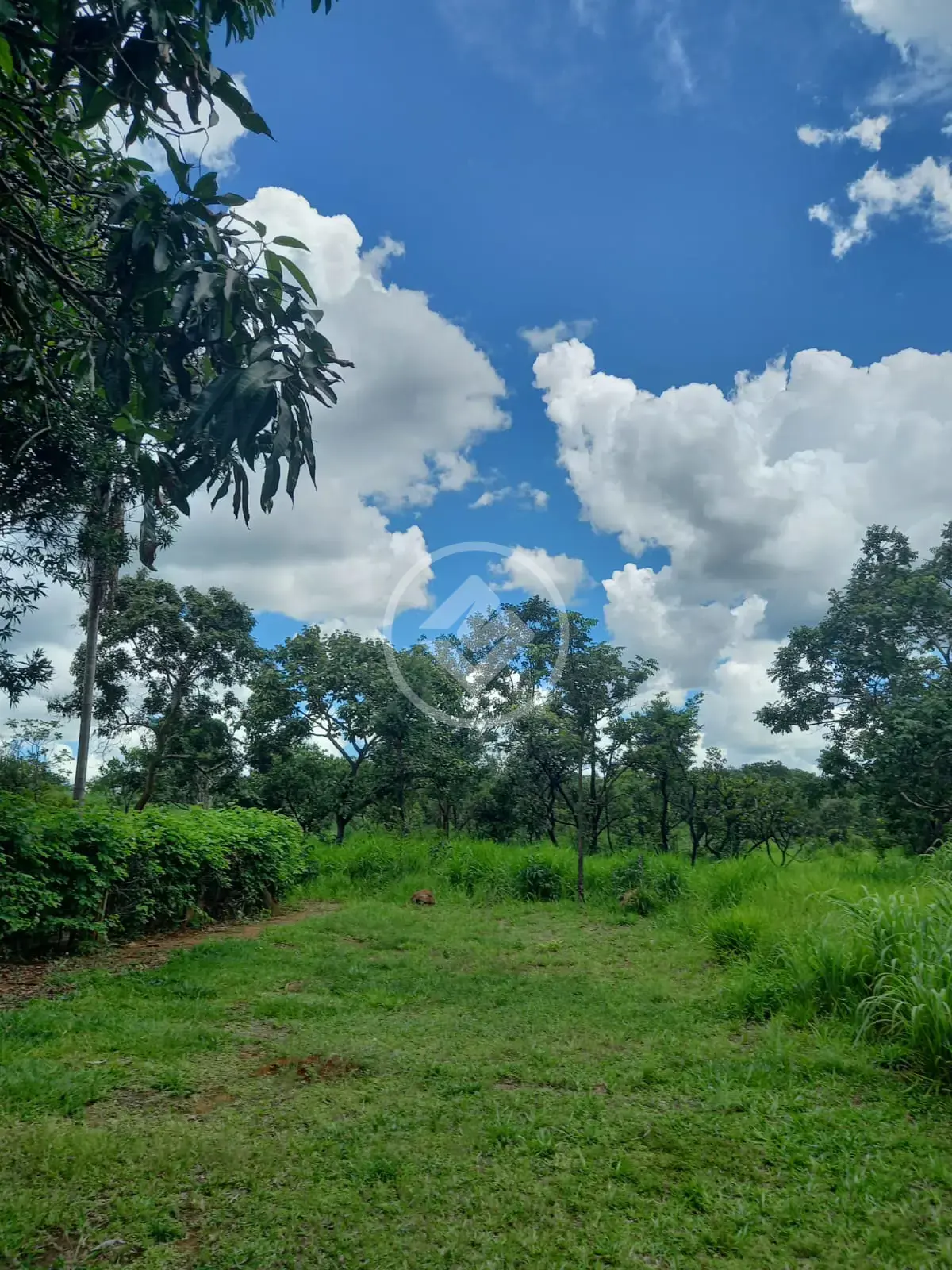 Imagem 5 - Terreno em Zona Rural, Bela Vista de Goiás - GO