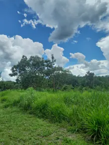 Terreno Zona Rural, Bela Vista de Goiás - GO — foto 2