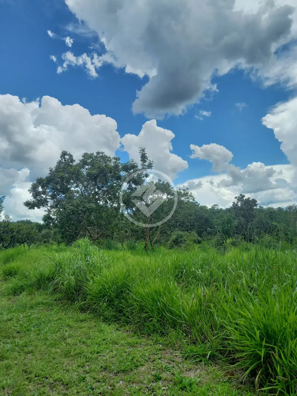 Imagem 1 - Terreno em Zona Rural, Bela Vista de Goiás - GO