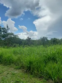 Imagem 6 - Terreno em Zona Rural, Bela Vista de Goiás - GO