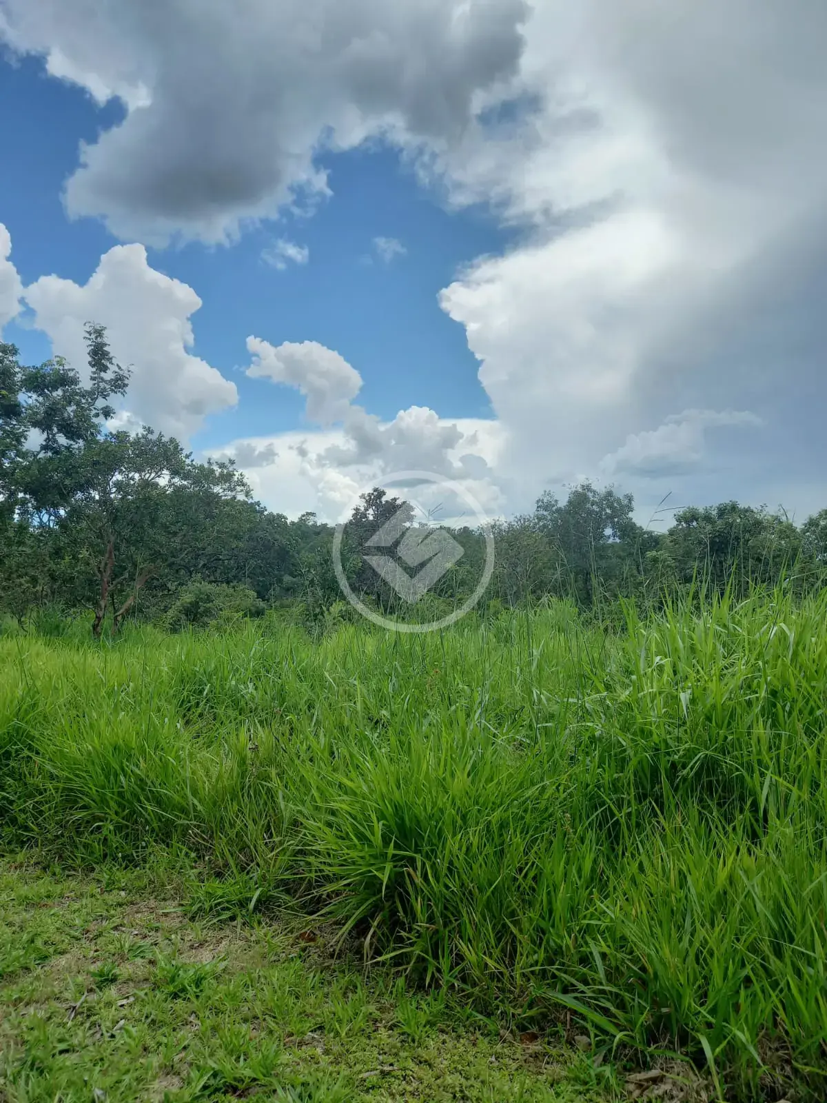 Imagem 6 - Terreno em Zona Rural, Bela Vista de Goiás - GO