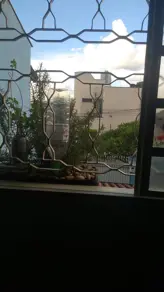 Imagem 5 - Sobrado em Jardim América, Goiânia - GO