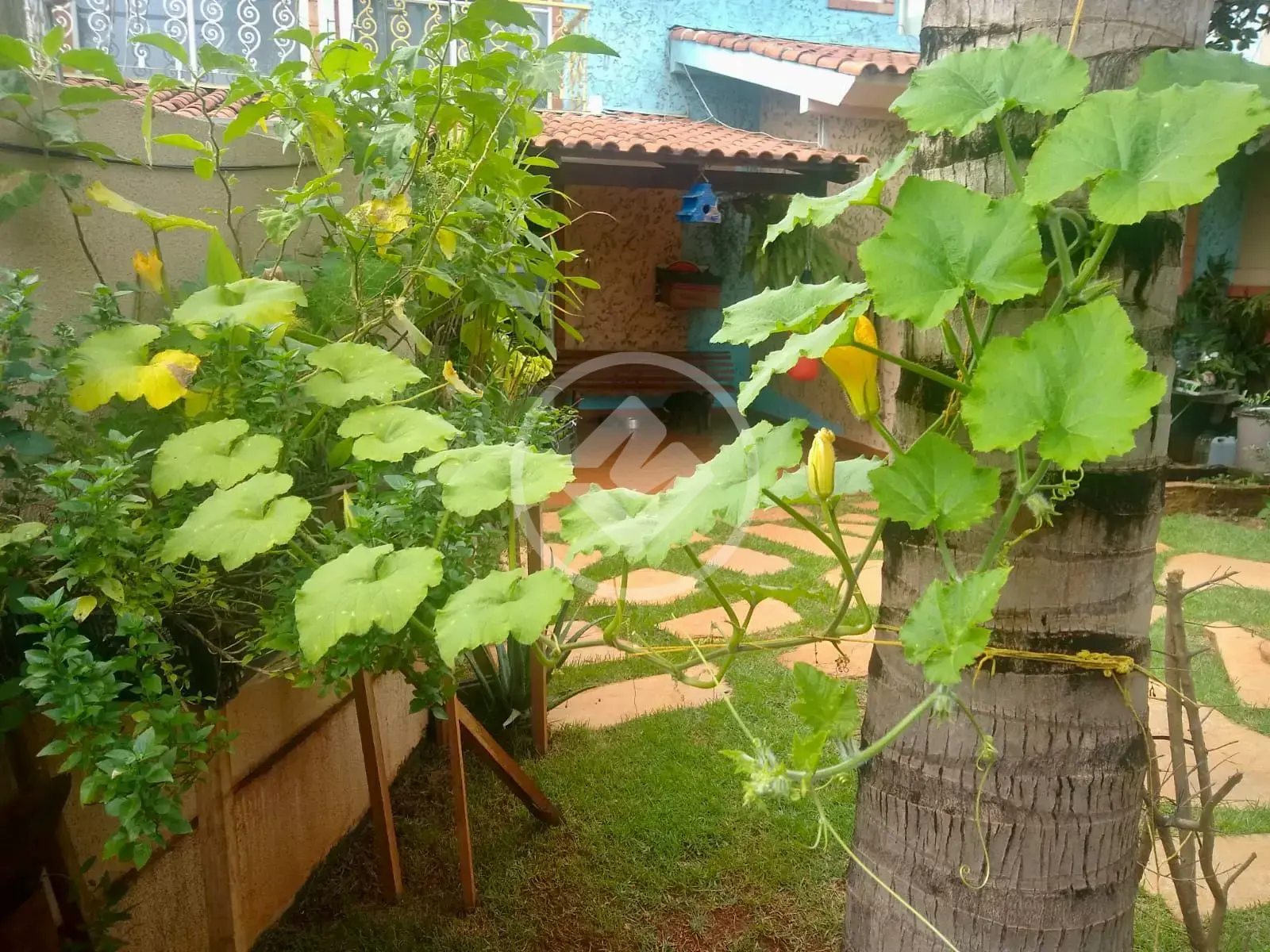Image 10 - Sobrado em Setor Jaó, Goiânia - GO