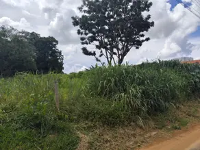 Terreno Jardim Brasil, Caldas Novas - GO — foto 2