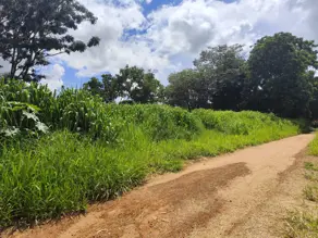 Imagem 2 - Terreno em Jardim Brasil, Caldas Novas - GO