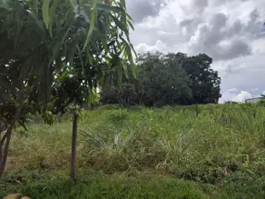 Terreno Jardim Brasil, Caldas Novas - GO — foto 1