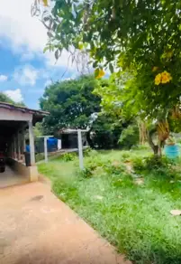 Imagem 2 - Terreno em Parque Amazônia, Goiânia - GO