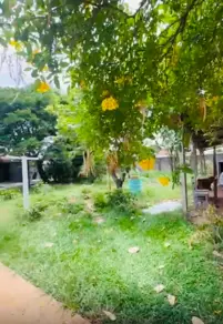 Imagem 5 - Terreno em Parque Amazônia, Goiânia - GO